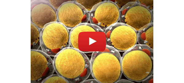=> Drop blood sugar below 140 in just weeks
